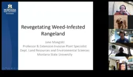 Jane Mangold on The IPM Hour