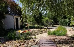 Wildflowers in bloom