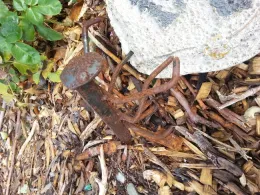 From For the Garden Photo 2