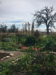 Yosemite village 2021