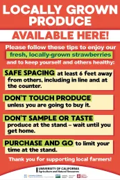 S_General Strawberry