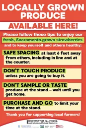 S_Sacramento Strawberry