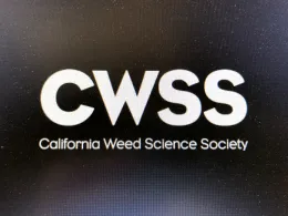 CWSS