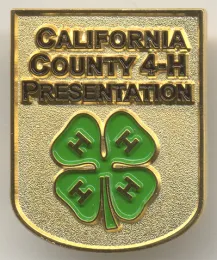 Gold Presentation Pin Award