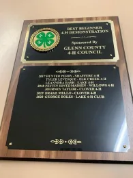 Presentation Best Beginner 4-H Demonstration Award Plaque