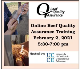 BQA Online annoucement