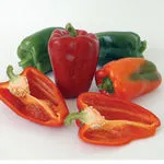 Ace_Johnny's_2021-150