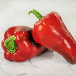 Ajvarski_Baker Creek_2021-150