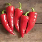 Flaming Flare_Johnny's_2021-150