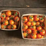 Sun Gold_Johnny's_2021-150