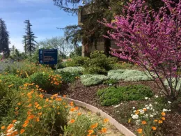 Master Gardeners’ Berger Native Demonstration Garden, by Rebecca Schoenenberger