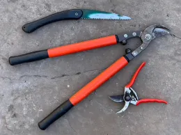 Pruning tools: saw, loppers, and hand pruners, by Allen Buchinski