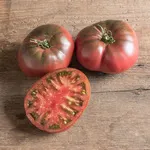 Black Krim_Johnny's_2021-150