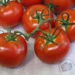 Box Car Willie_schoolphotoproject.com_2021-150