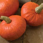 Winter Squash_Sunshine Kabocha_Johnny's_2021-150