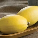 Spaghetti Squash_Pinnacle_Johnny's_2021-150