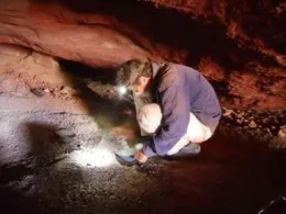 Ask an anthropologist