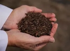 Handful of Compost