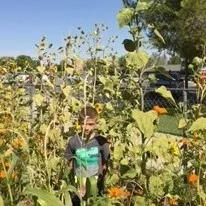 Desert Knolls Elementary School Garden