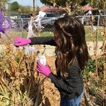 Desert Knolls Elementary School Garden