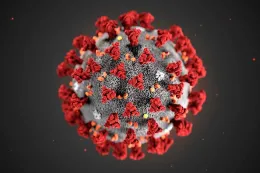 COVID-19 virus. (CDC Photo)