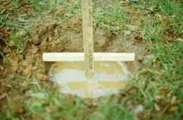 tree planting hole drainage test