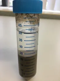 Clear solution on top indicates the sample is ready for the reading.
