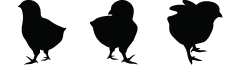 ChicksThumb
