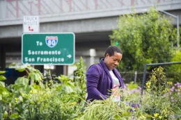 Urban Farm in East Bay. (c)2018 University of California