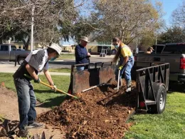 Three master gardeners putting mulch from a truck bed into the landscape.