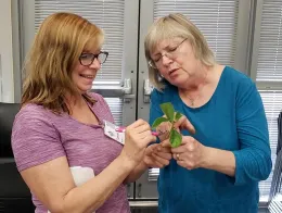 Ellen Zagory showing a trainee plant identification characteristics.