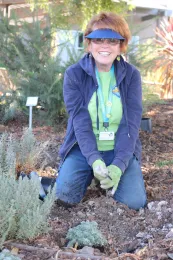 Master Gardener volunteer working in the Learning Landscape