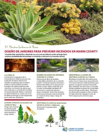 Fire Smart Spanish_front