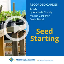 Play Seed Starting Techniques Video