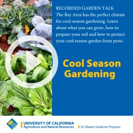 Play Cool Season Garden Talk