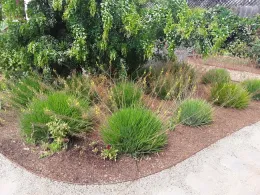 From small to large in 8 months