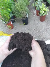 aug blog soil