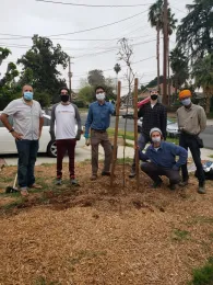 Master Gardeners, community volunteers help plant recommended drought, heat, and pest and disease resistant trees