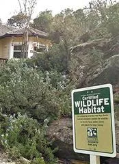 Sustainable Landscaping