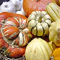 a variety of squash