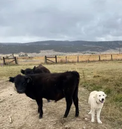 Photo Oct 13, 1 13 49 PM (1)