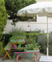 A colorful patio table with seedling flats under a white floral-patterned umbrella surrounded by green plants.