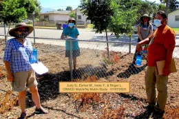 mulch no mulch study team at CBWCD