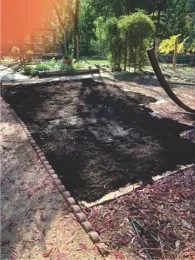 Compost over cardboard