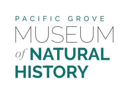 PGMNH-transparent-bkgrd-color-logo