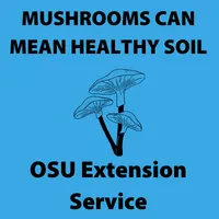 Mushrooms can mean healthy soil OSU Extension Service (200 × 200 px)