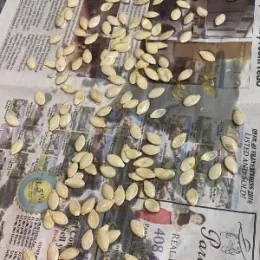 Seed Saving