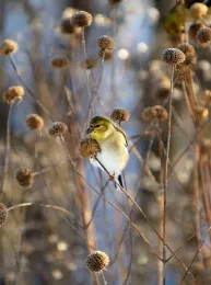 Photo: Ross Frid/Alamy