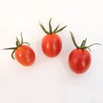 Tomato_Cherry_Cherry Bomb_MGFT_150