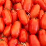 Tomato_Paste_La Roma III_pixabay.com-150